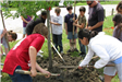 Arbor Day 2010 activities