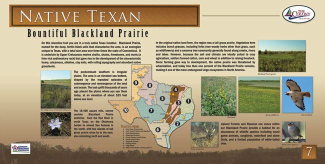 Interpretive sign titled "Native Texan: Bountiful Blackland Prairie," located along the Shoreline Trail. The sign educates visitors about the unique ecosystem of the Blackland Prairie, highlighting its geography, soil composition, native plants, and animal species. It includes a map of Texas showing the Blackland Prairie region and surrounding ecological zones. Color photographs depict native wildflowers, prairie landscapes, a hawk in flight, and small prairie animals. The text discusses how the rich soil once supported tallgrass prairie and diverse wildlife, much of which has been lost to agriculture and development, making this one of the most endangered ecosystems in North America.